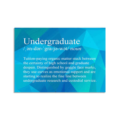 Undergraduate Snarky Definition - Vinyl Sticker