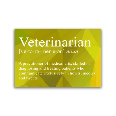 Veterinarian Snarky Definition - 2x3 Magnet