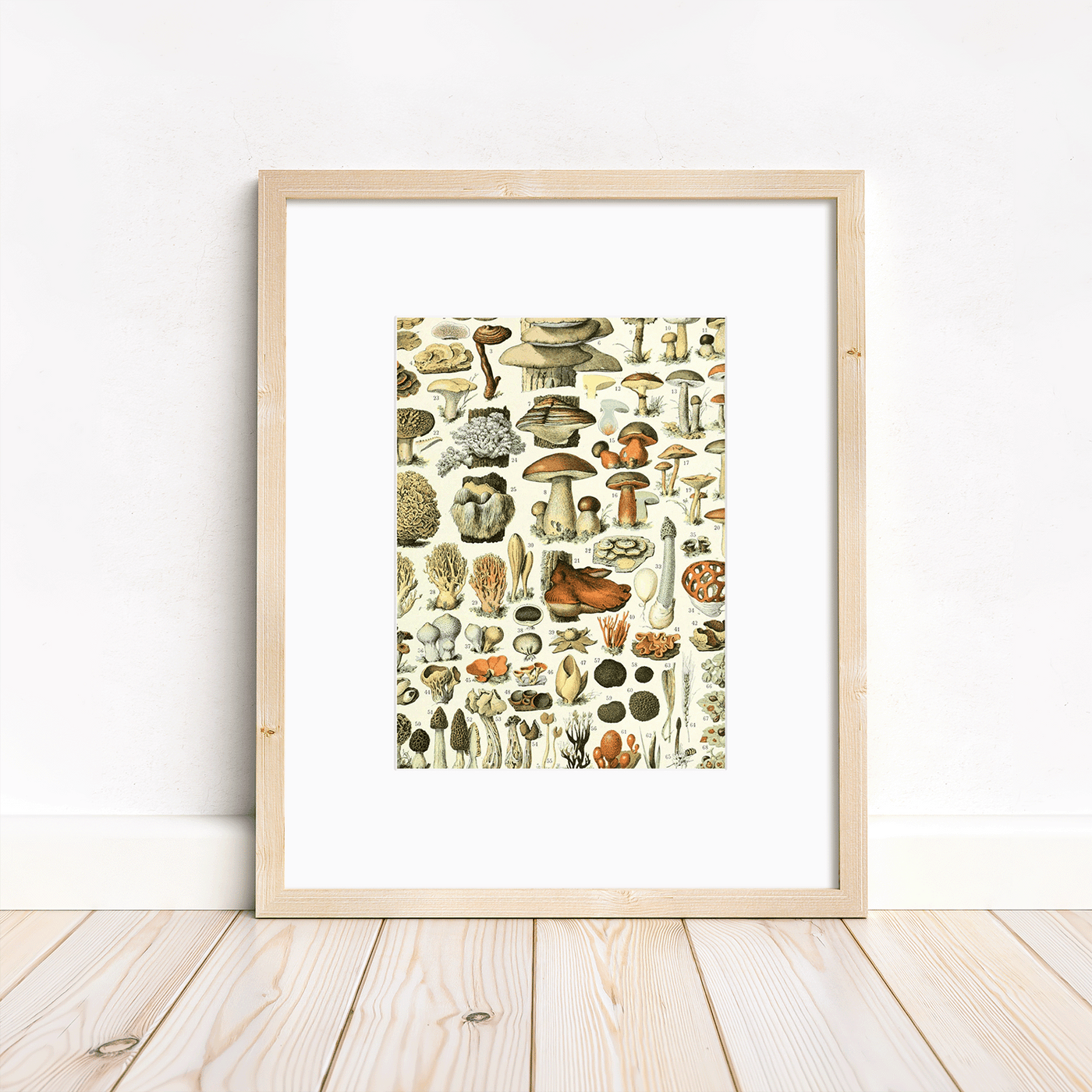 Mushrooms - 5x7 matted to 8x10 Print - Ready for Framing