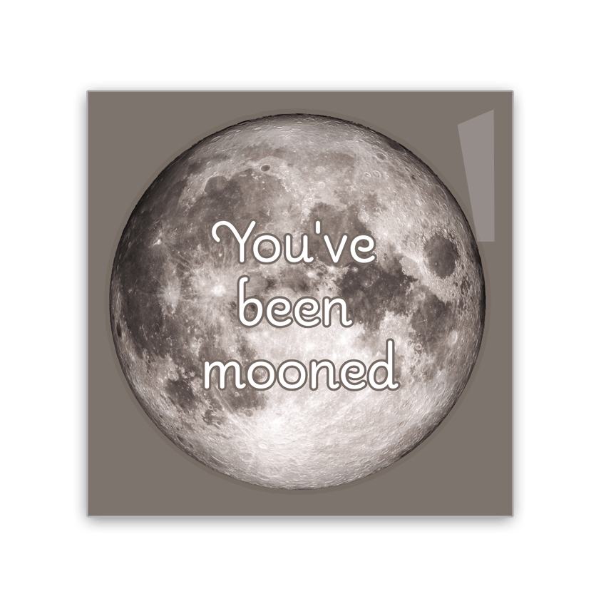 You've Been Mooned - 2x2 Magnet