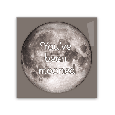 You've Been Mooned - 2x2 Magnet