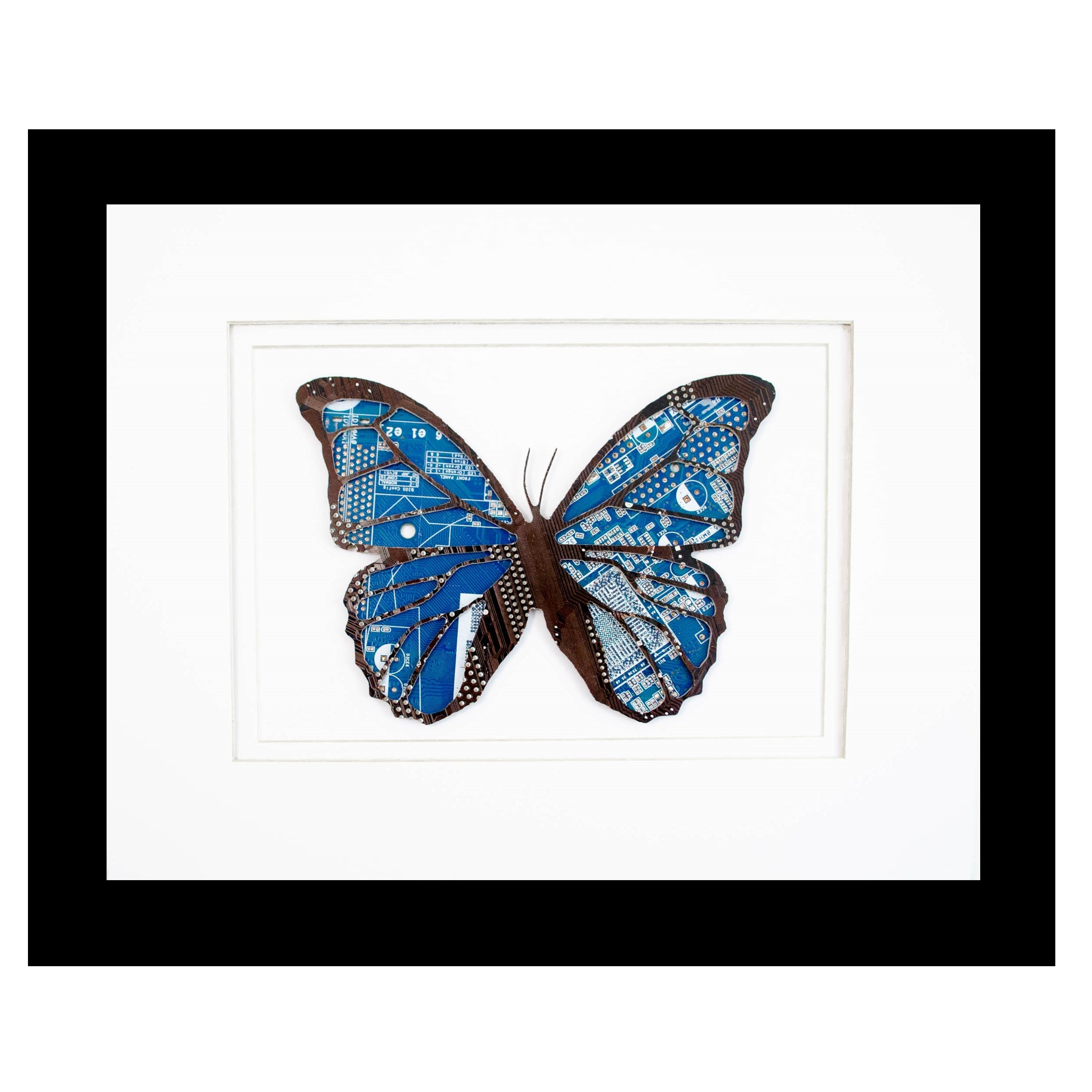 Blue Morpho Butterfly Circuit Board Art - 8x10 – Because Science