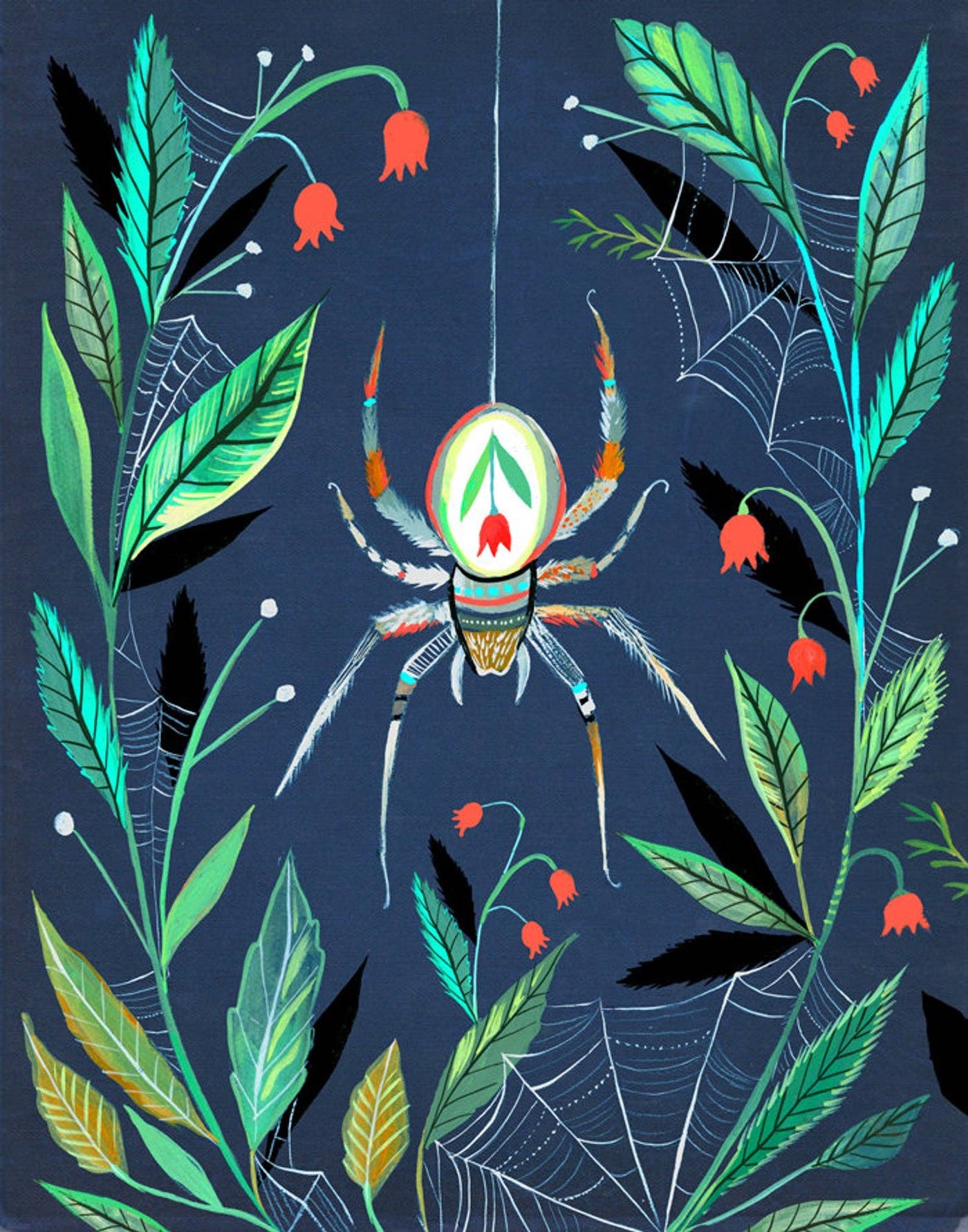 Spider 8 x 10 Print