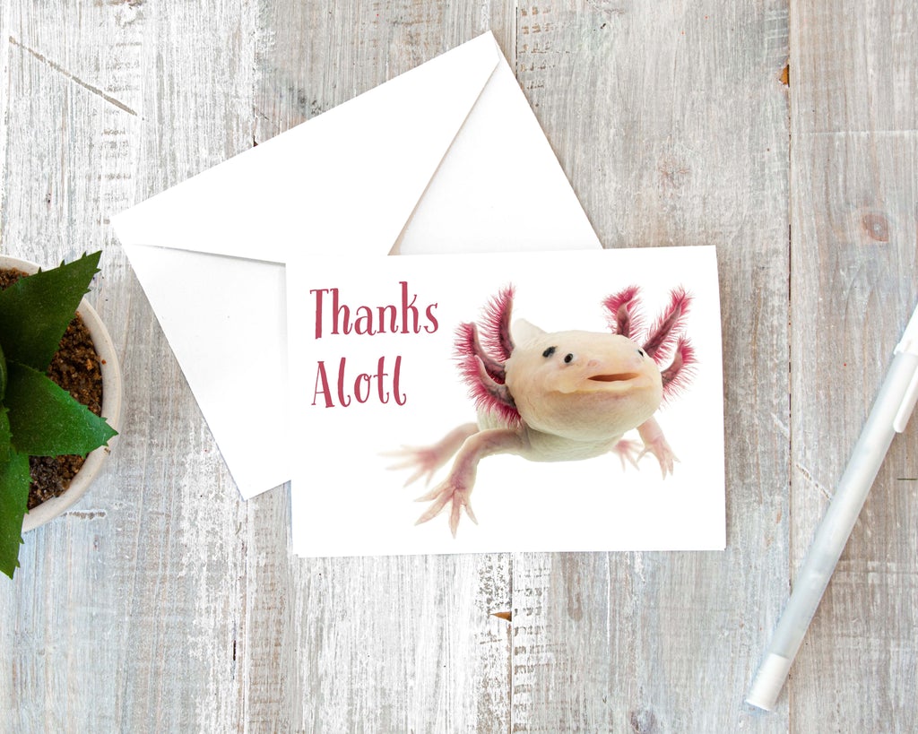 thank you card with axolotl and pink text that says thanks alotl