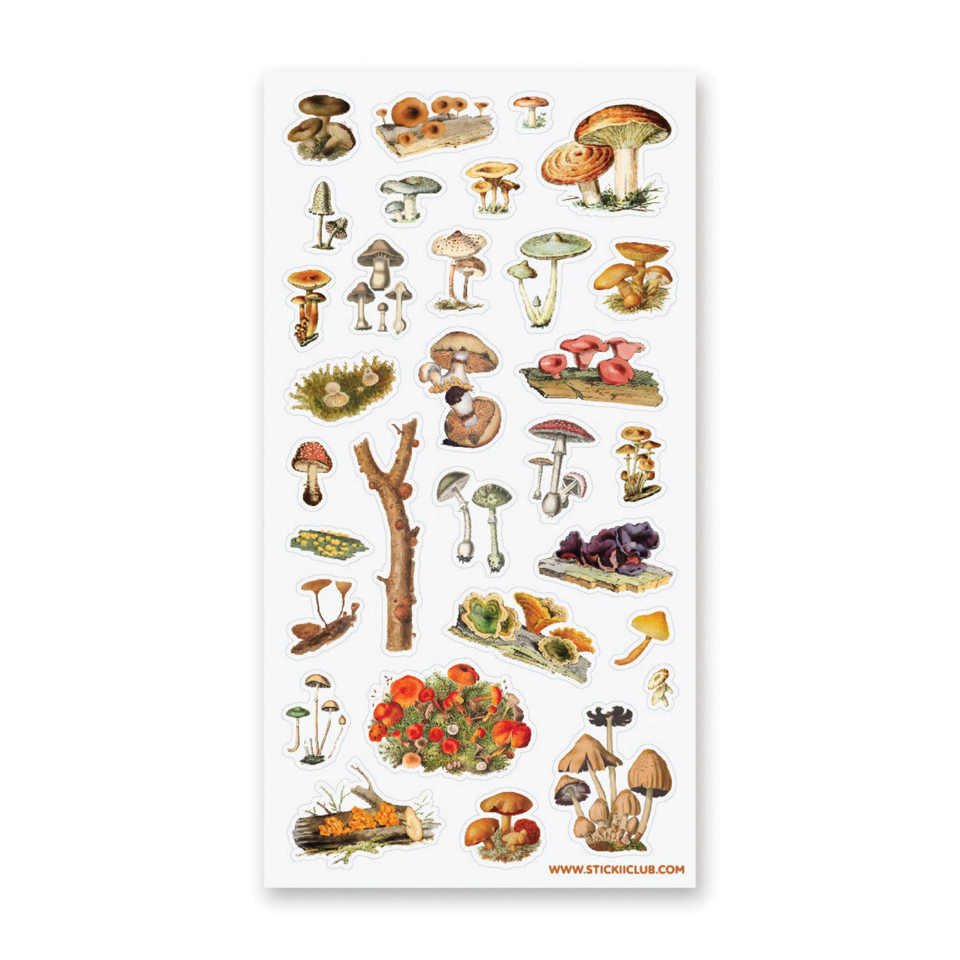 World of Fungi - Sticker Sheet