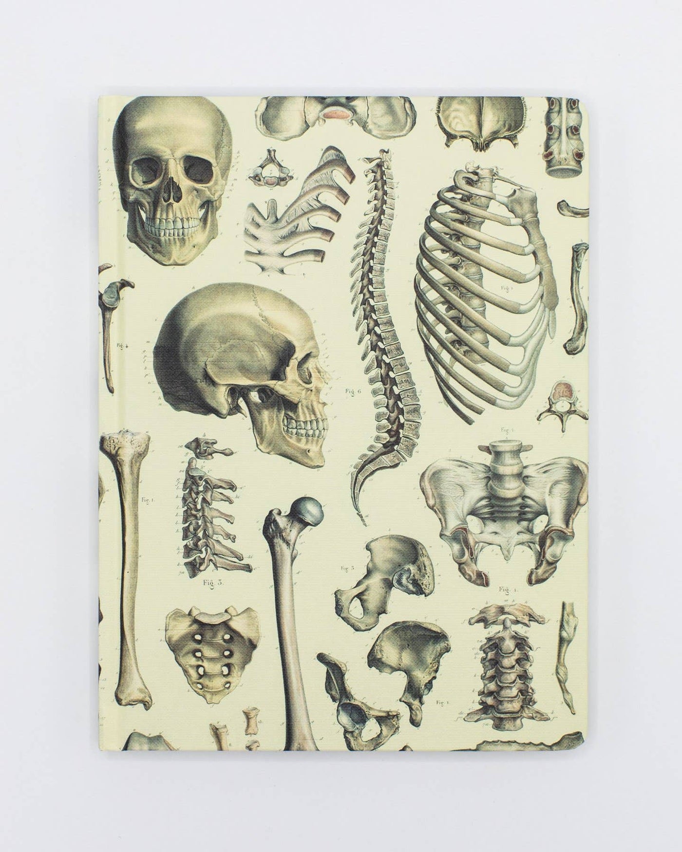 Skeleton Hardcover Notebook - Dot Grid