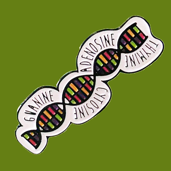 DNA Base Pairs Pin