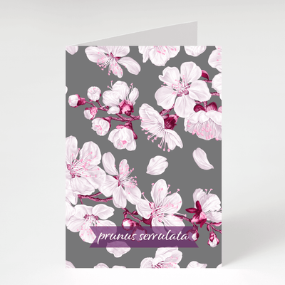 Prunus Serrulata (Cherry Blossom) - Blank Greeting Card