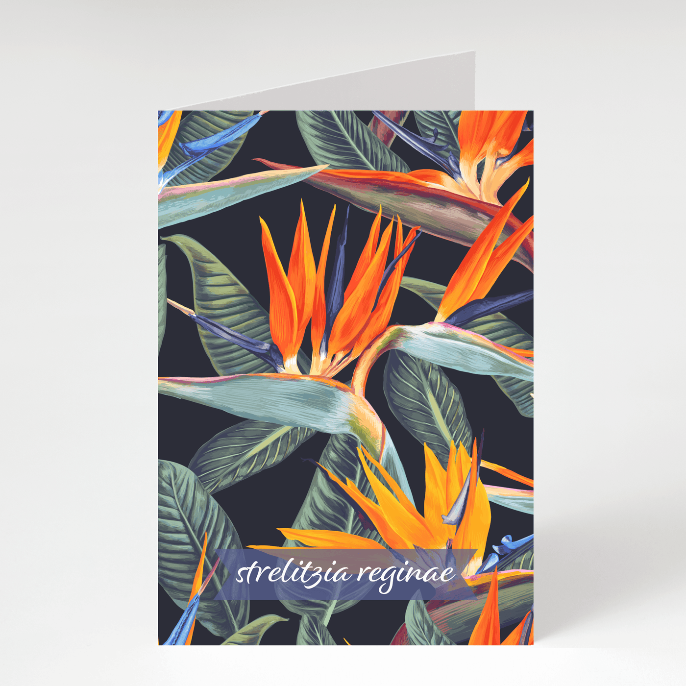 Strelitzia Reginae (Bird of Paradise) - Blank Greeting Card