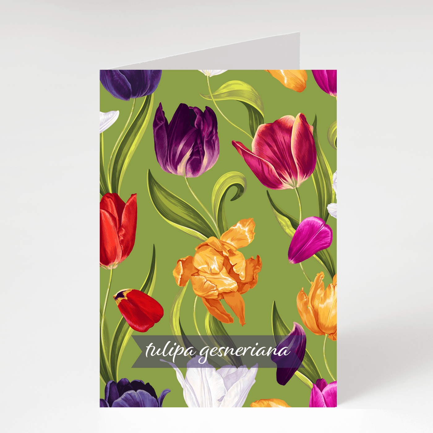 Tulipa Gesneriana (Tulip) - Blank Greeting Card