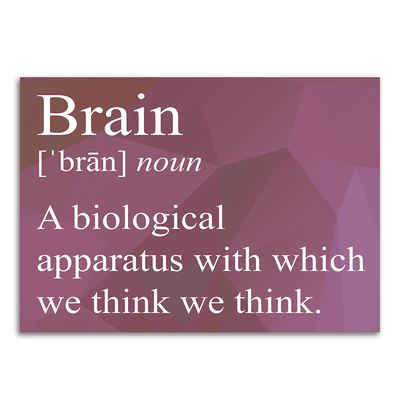 Image of a vinyl sticker that is 3 inch on its longest side with text snarkily defining a brain
