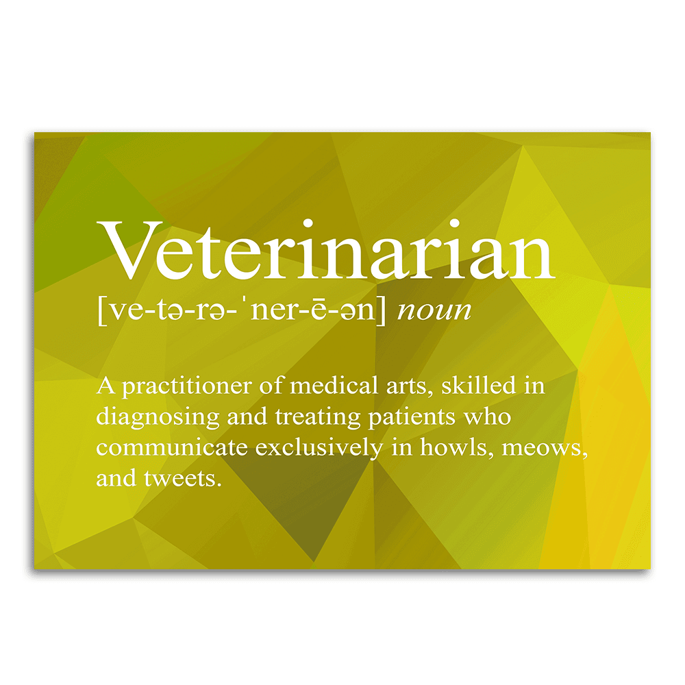Image of a vinyl sticker that is 3 inch on its longest side with text snarkily defining a veterinarian