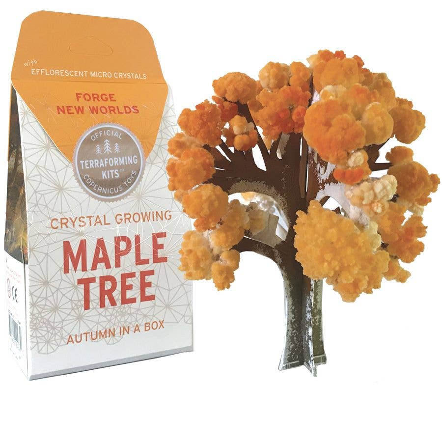 Maple Tree- Crystal Growing Kit