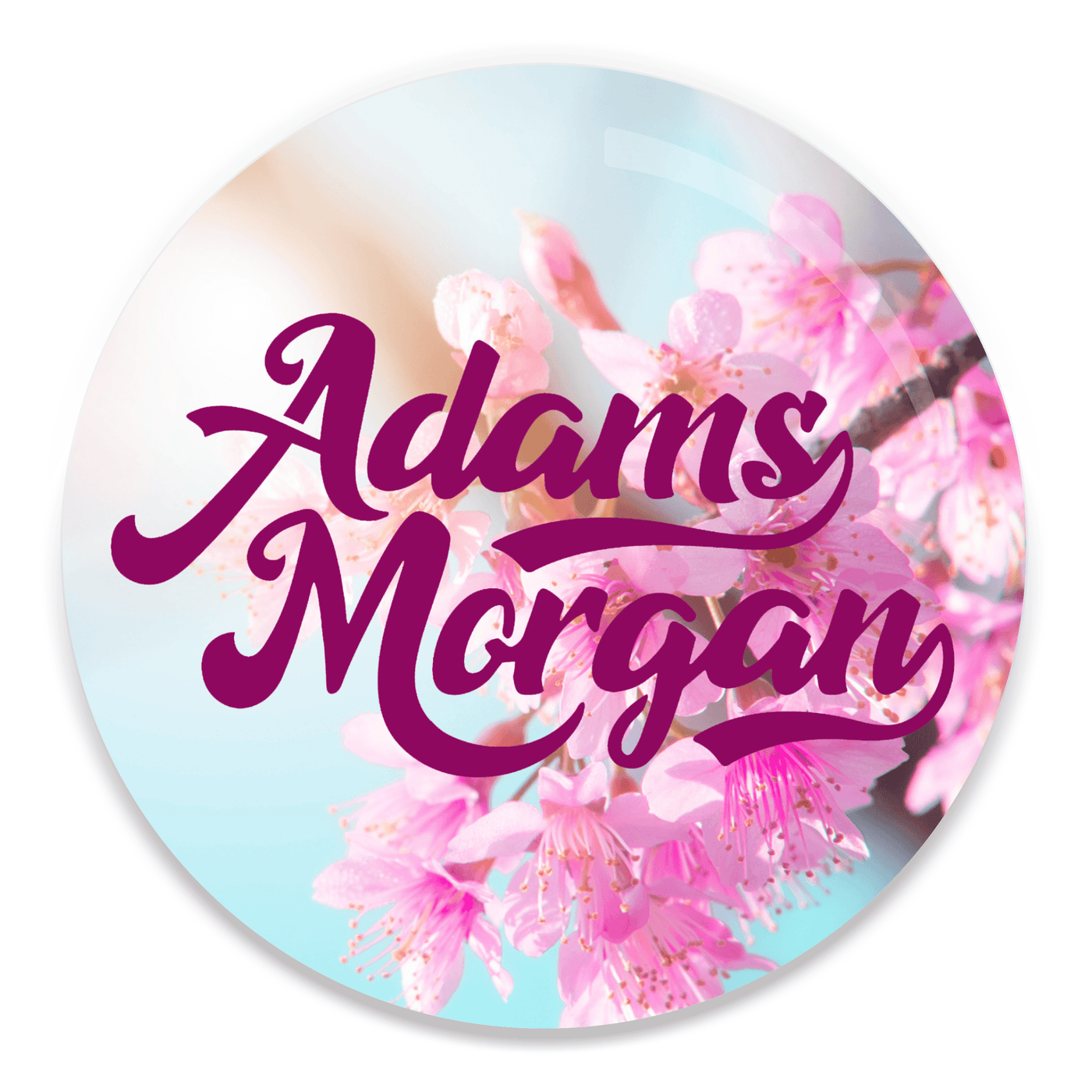 2.25 inch round colorful magnet with image of Adams Morgan text and cherry blossoms