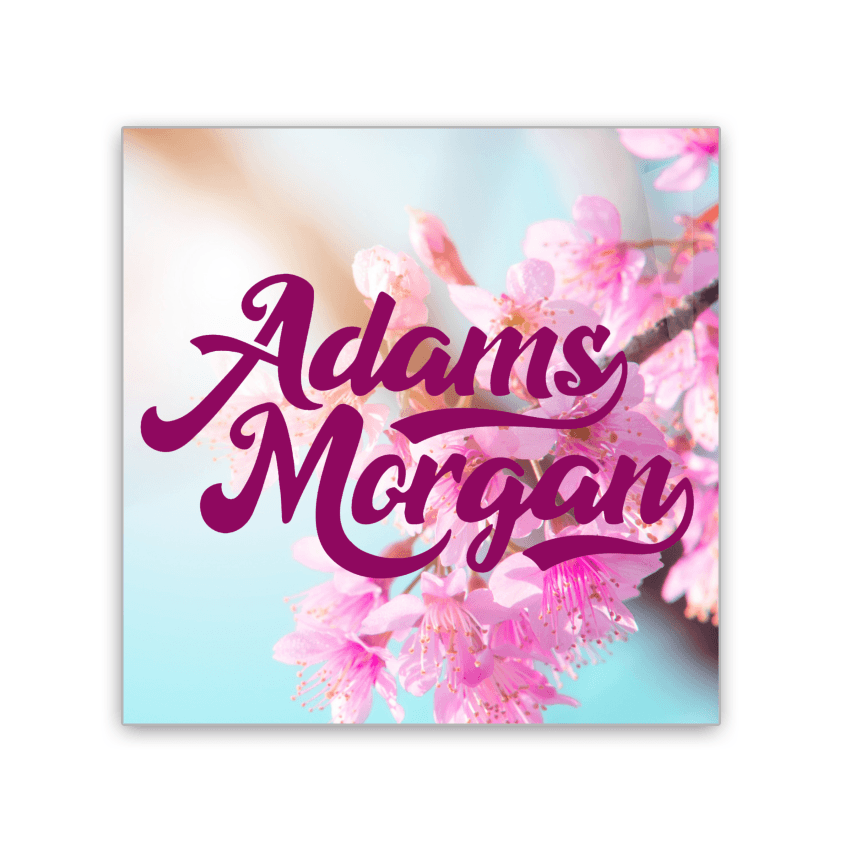 Image of 2x3 colorful magnet of Adams Morgan with Cherry Blossoms in the background