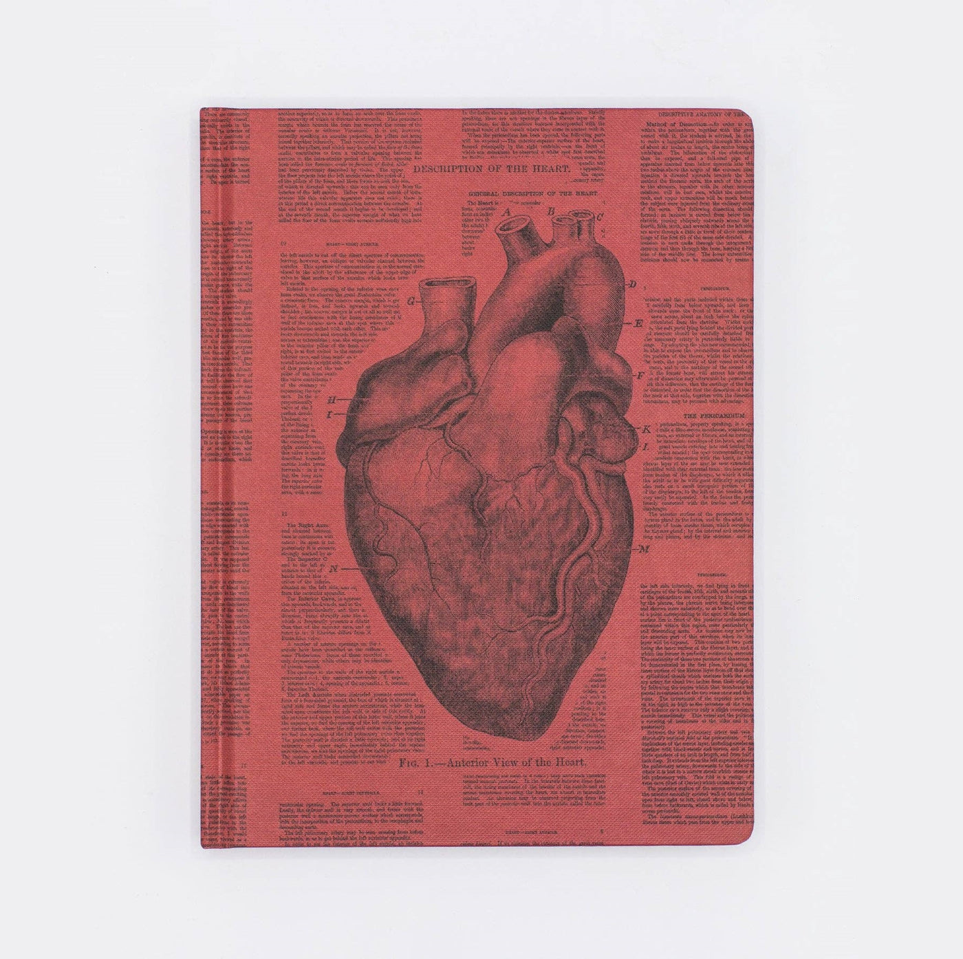 Anatomical Heart Hardcover Notebook