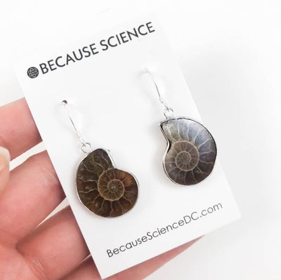 Ammonite Dangle Earrings