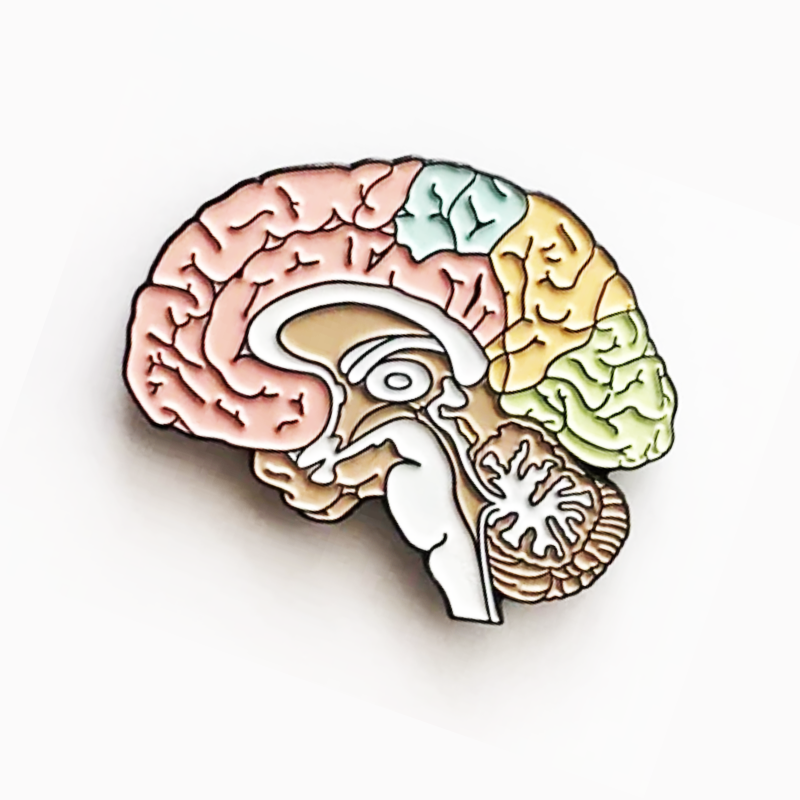 Anatomical Brain Pin