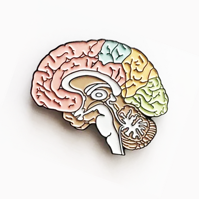 Anatomical Brain Enamel Pin