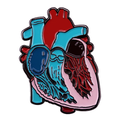 Anatomical Heart Enamel Pin