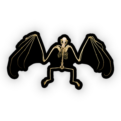 Bat Skeleton - Vinyl Sticker