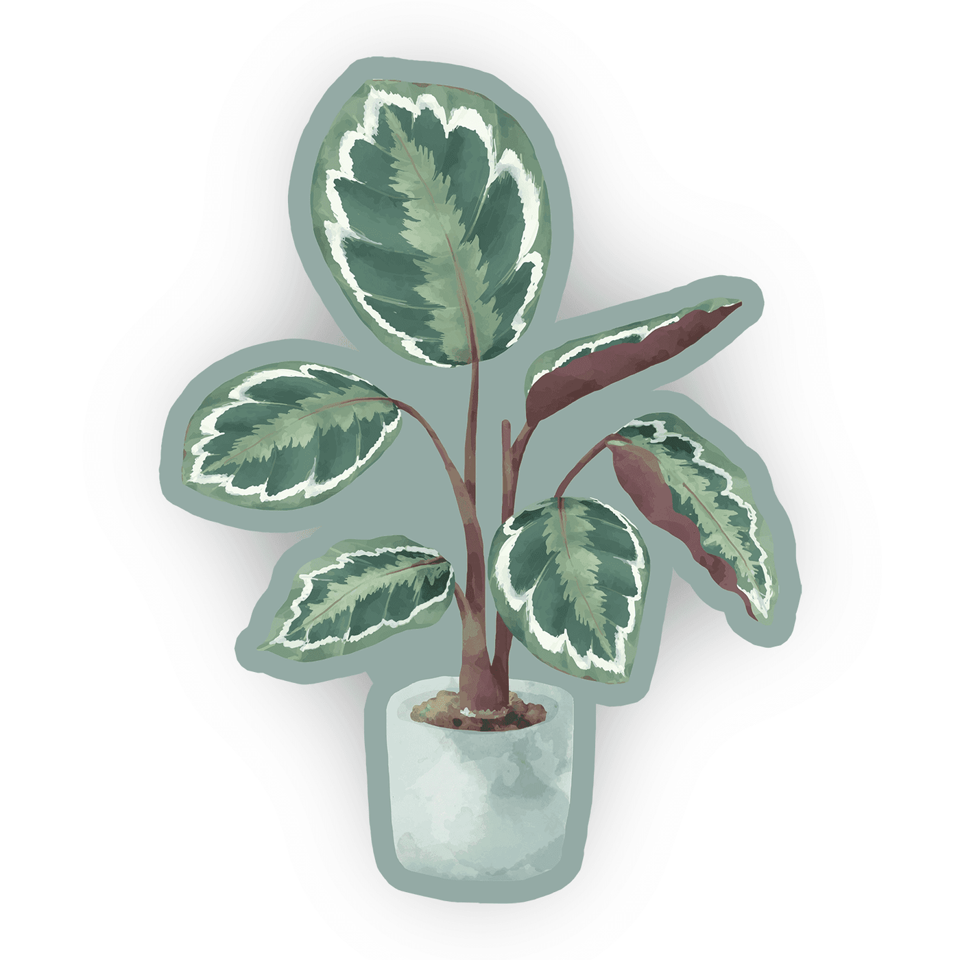 Potted Calathea Plant - Vinyl Sticker