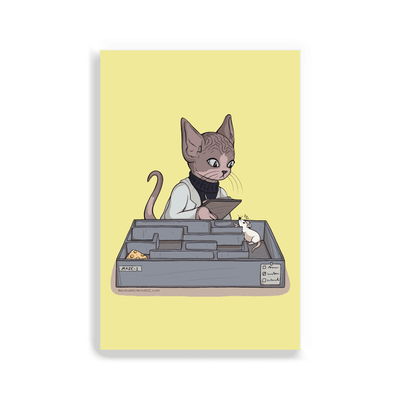 2x3 colorful magnet with image of a cat conducting an experiment with mice in a maze