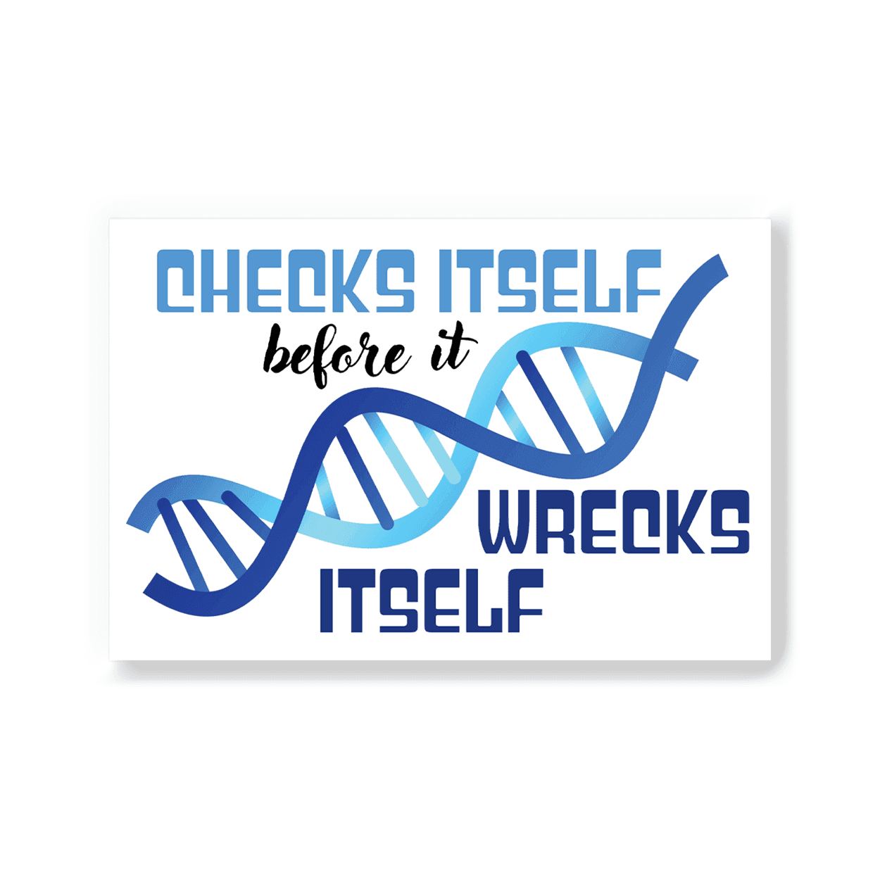 DNA Checks Itself - 2x3 Magnet