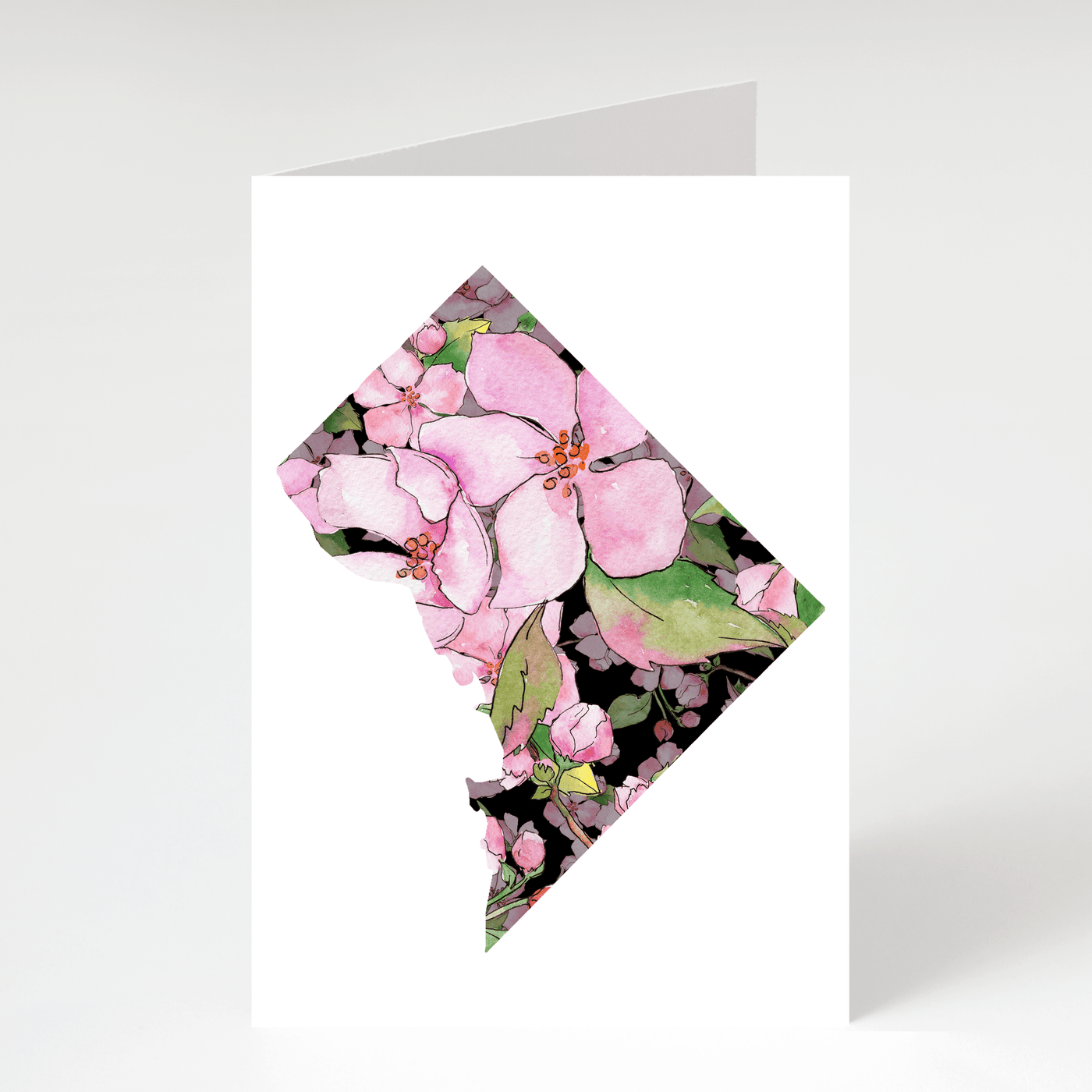 DC Cherry Blossom - Blank Greeting Card