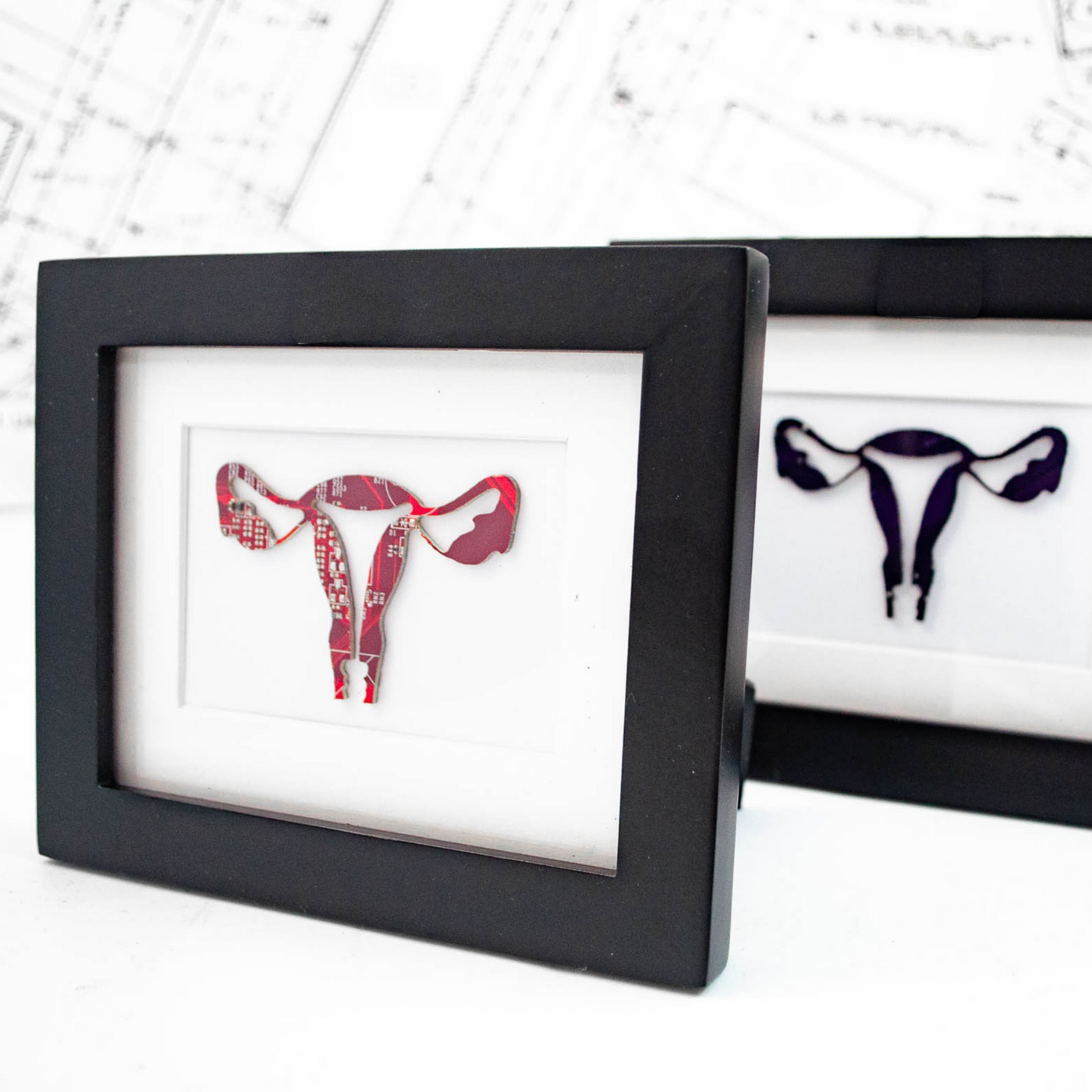Mini Uterus Framed Art - Biology Desk Art