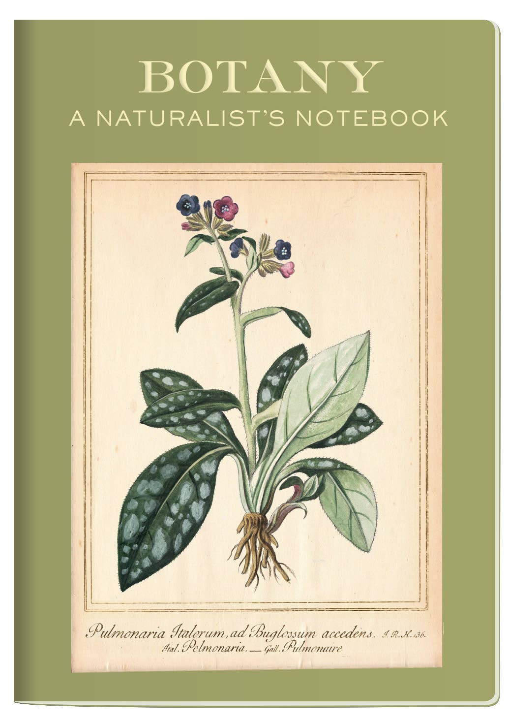Botany: A Naturalist's (pocket) Notebook