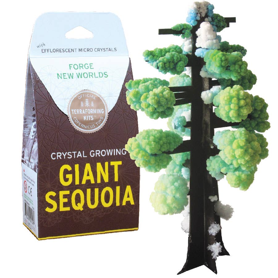 Giant Sequoia - Crystal Growing Kit
