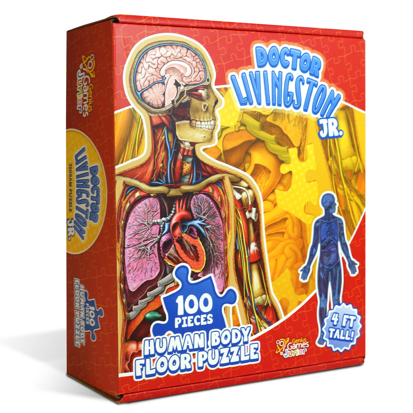 Kid's 100 Piece- 4 ft tall Anatomy Floor Puzzle - Dr. Livingston Jr.