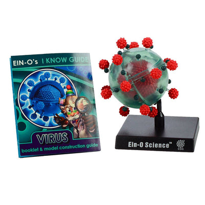 Virus Model