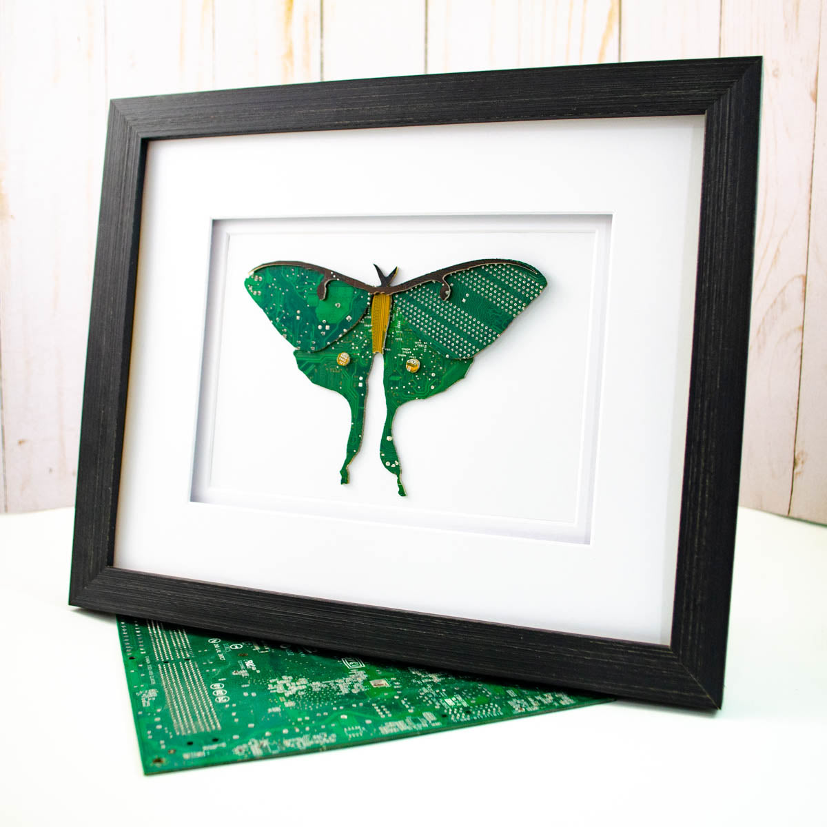 Luna Moth Circuit Board Art - 8x10