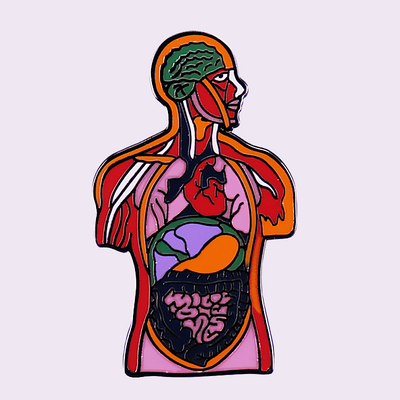 Human Anatomy Enamel Pin