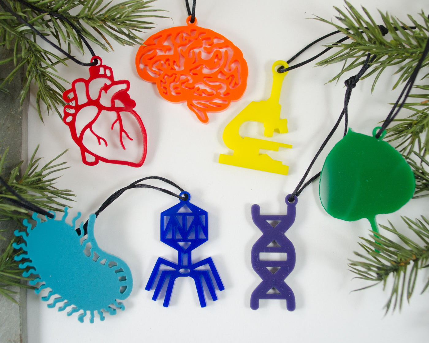 set of 7 handmade rainbow biology ornaments 