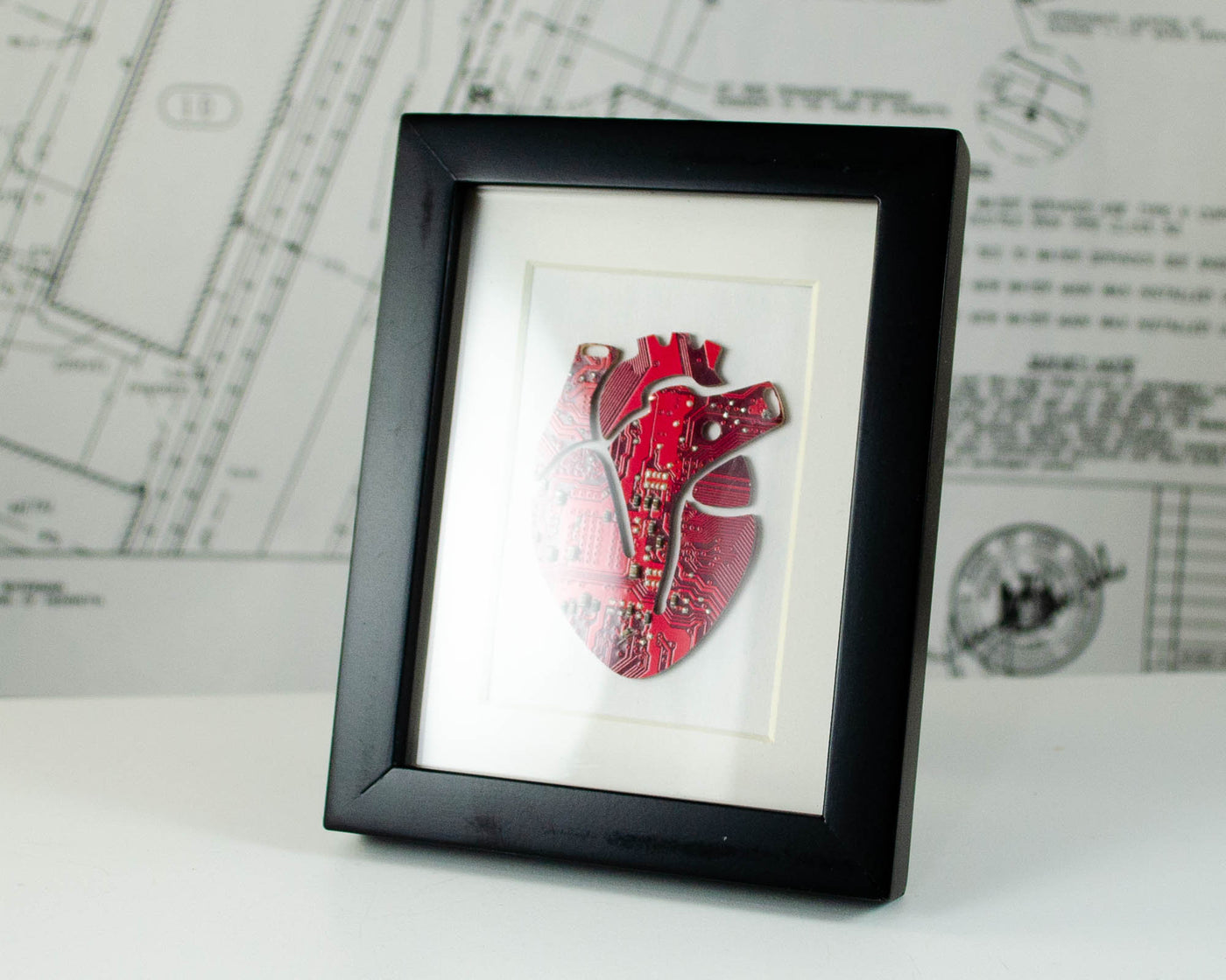 Mini Anatomical Heart Framed Art