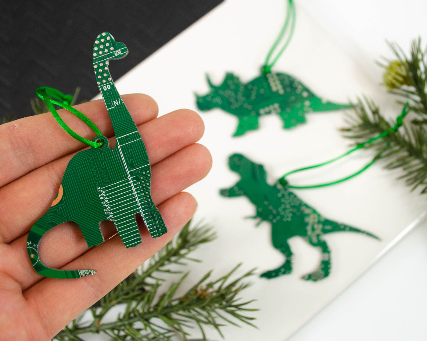 Dinosaur Circuit Board Ornament Gift Set