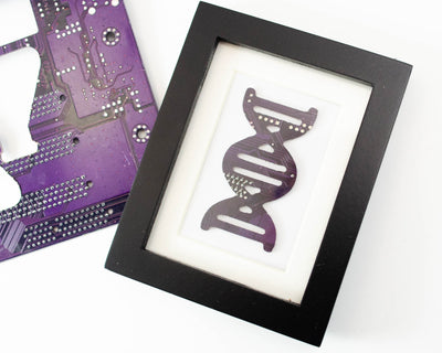 Mini DNA Framed Art - Biology Desk Art