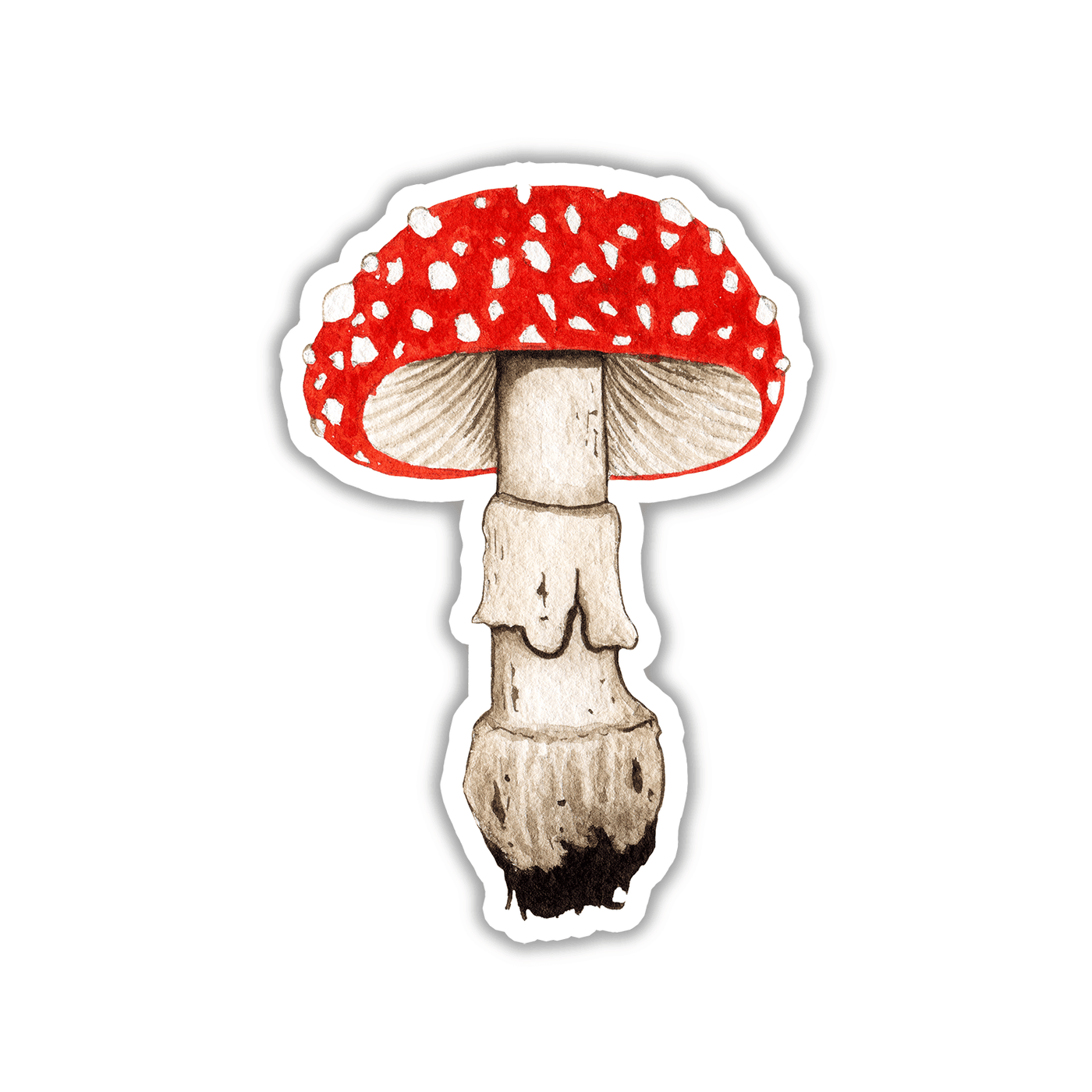 Amanita Mushroom - Vinyl Sticker