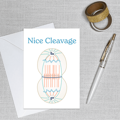 Image of a 4.13" x 5.83" greeting card with a congratulatory theme 
