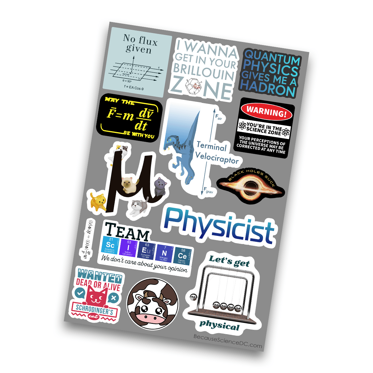 Image of a 4x6 vinyl sticker sheet with a physics theme