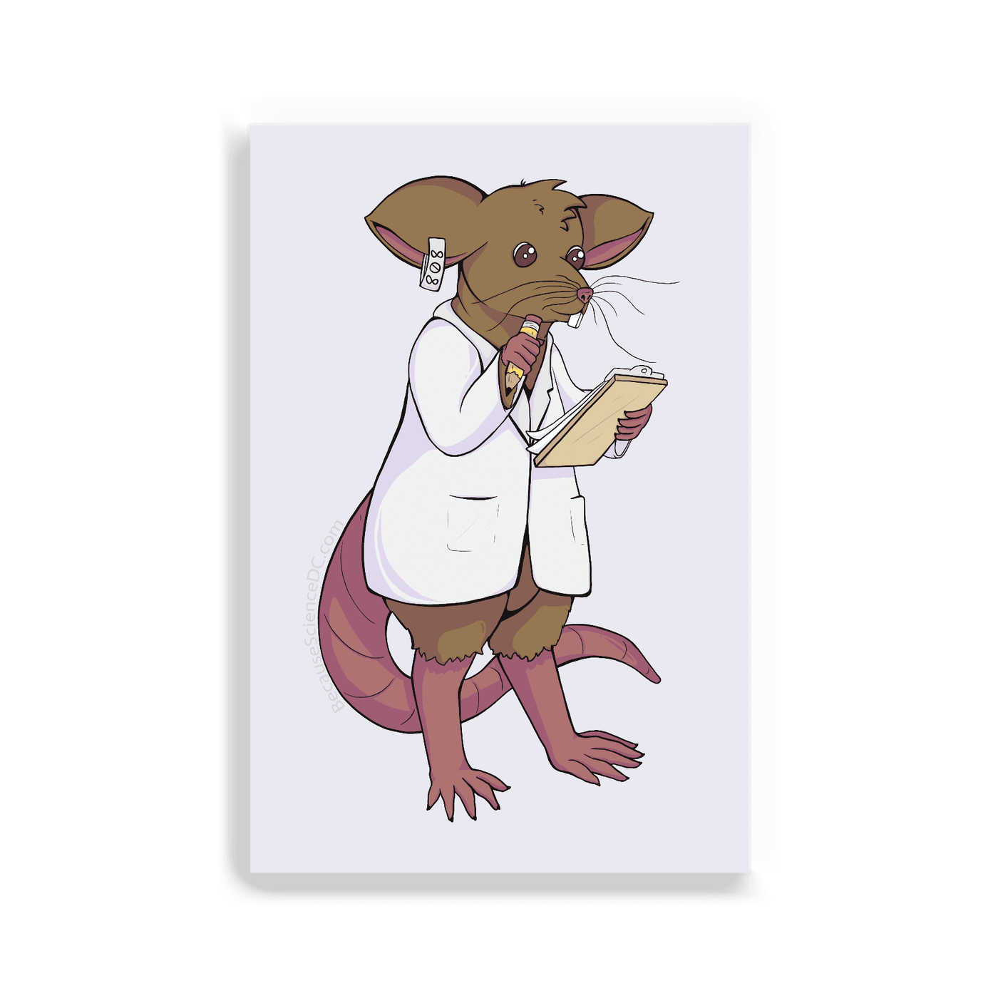 2x3 colorful magnet with image of a rat wearing a lab coat