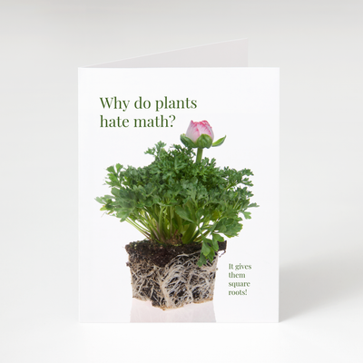 Square Roots - Math Greeting Card
