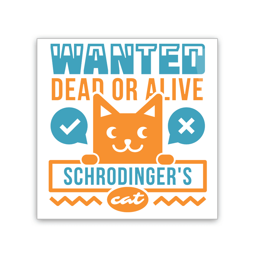 Image of 2x3 colorful magnet Schrodinger's Cat
