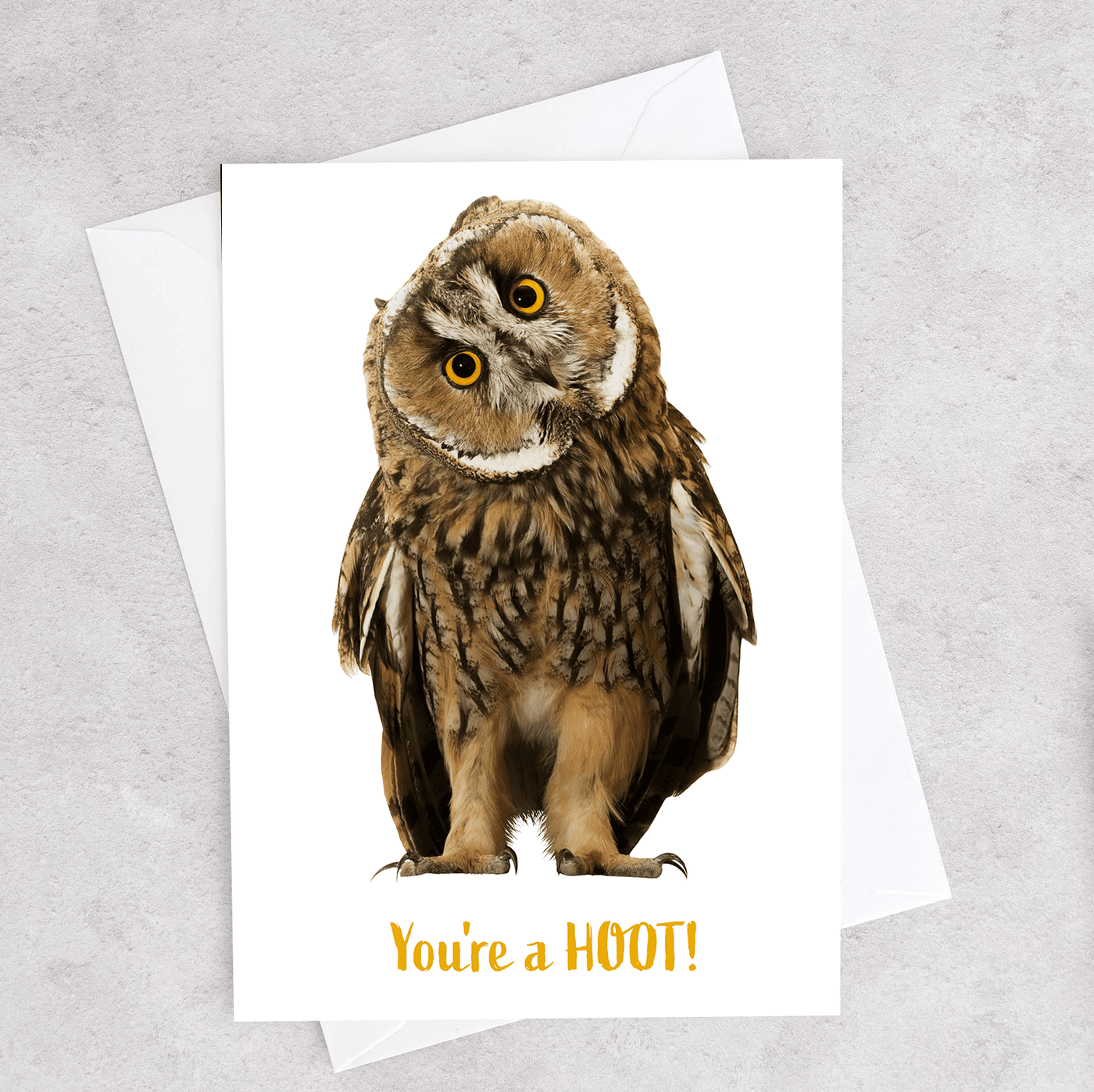 This greeting card shows an Owl and says "You're a Hoot!"